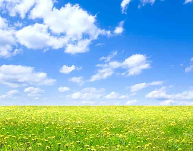 煤矿支部党史专题学习教育党课