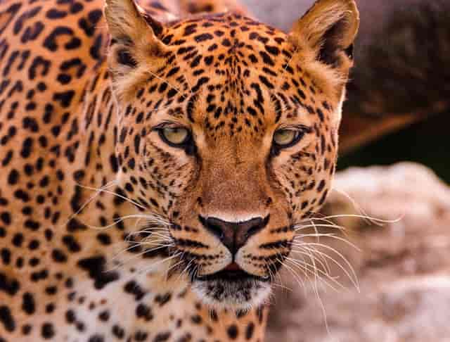 2021中考成绩什么时间出来