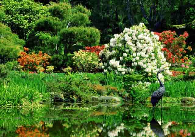 2021年7月份的猪价怎样