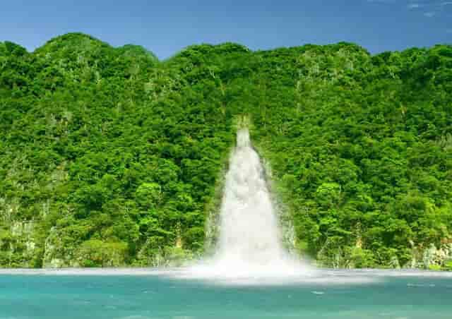 分析宠物销售市场，看袖虎如何养猫生财！