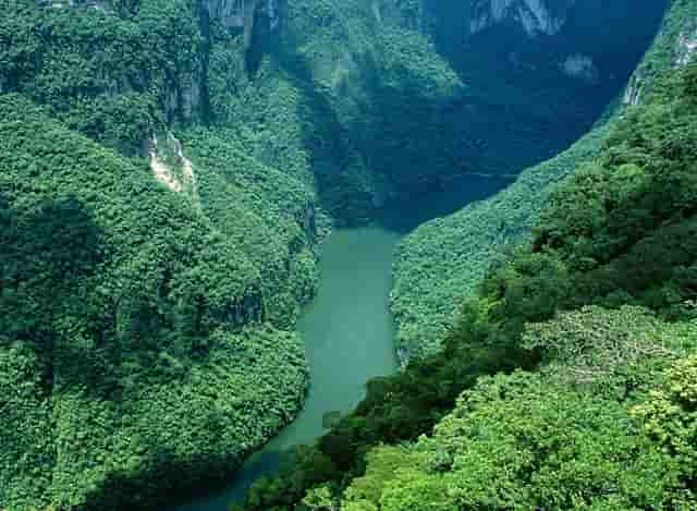 一个女人爱上了不喜欢自己的男人