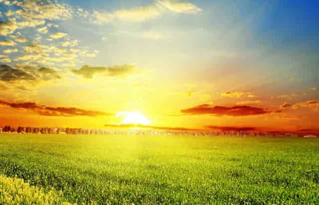 袖虎揭秘：饲料鱼粉掺假鉴别怎么办？是什么？