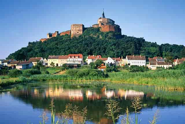 频繁会得肾病吗(肾病性生活频繁)