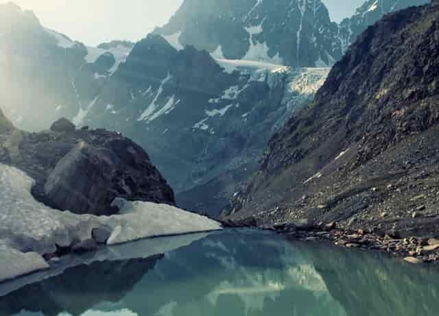 袖虎病狗攻略：狗真的都爱吃骨头吗