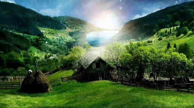 袖虎病狗攻略：眼泪汪汪的贵宾，小心得病