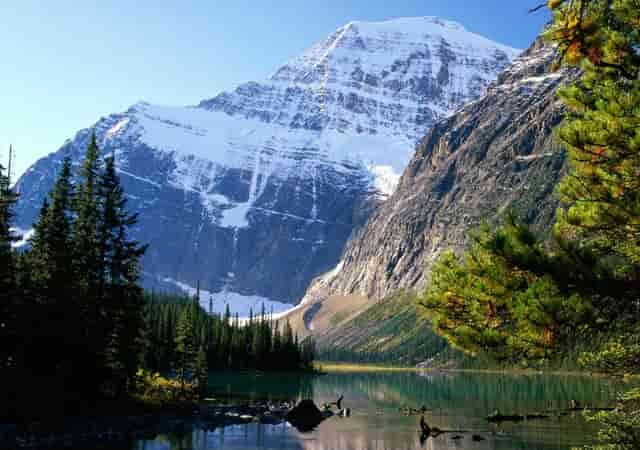 属牛的人生在每月的哪几日好