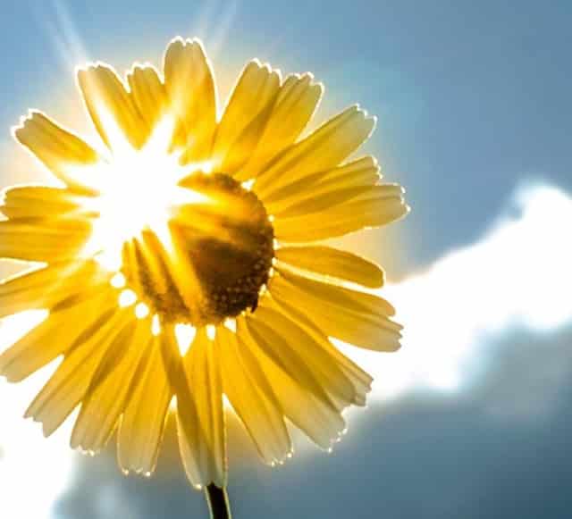 奥运模板素材(海报模板素材)