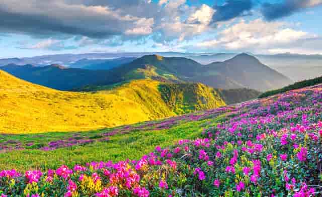 大学老师这专业好吗