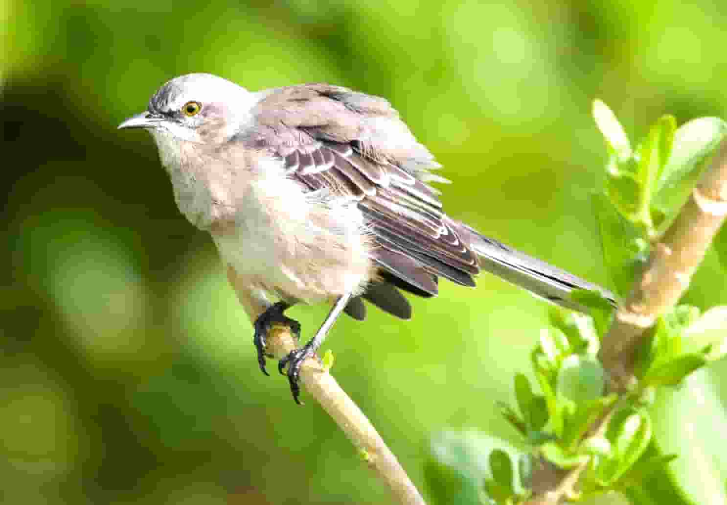 共产主义青年团就是共青团吗