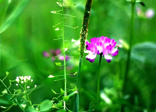 2021云南高中招生