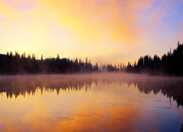 袖虎病猫攻略：猫咪突然不吃东西，很可能是这个原因