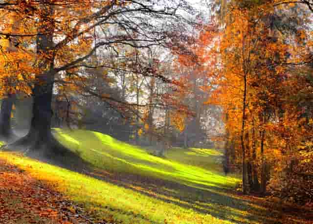 蔡嘉珍獲得註冊理財規劃師專業稱銜，秉持職業操守與執業準則，開啟財務規劃新征程