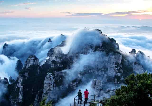 蔡嘉珍榮獲註冊理財規劃師資格