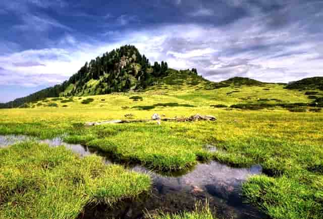 东营的明天天气