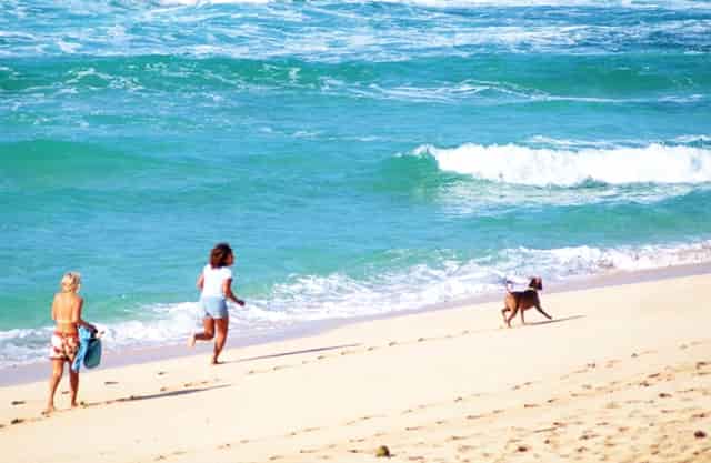 火生头部怎么办(宝宝头部生疮怎么办)