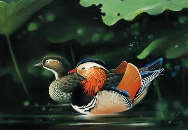 14岁女生上学可以穿打底裤吗