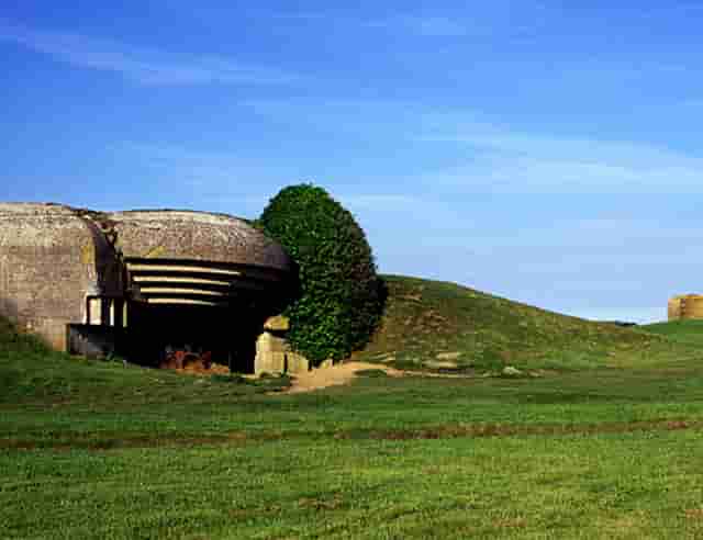 时尚衣服搭配技巧夏季女生(男童衣服搭配技巧图片夏季)
