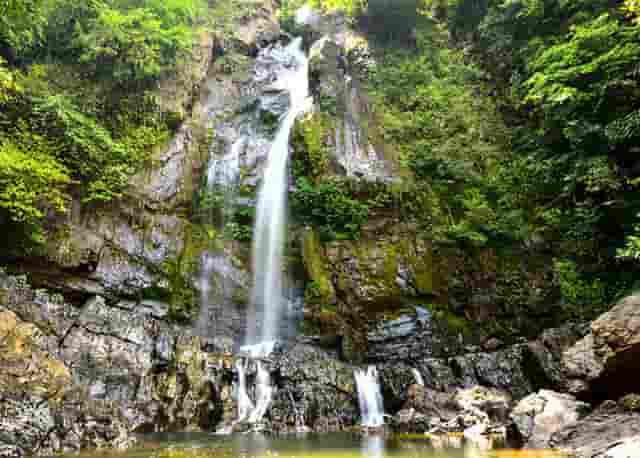 袖虎病猫攻略： 如何判断猫咪健不健康 宠物生活小百科