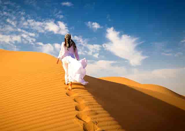 袖虎病猫攻略：猫咪口臭要注意