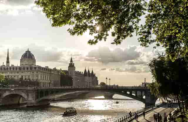 袖虎病狗攻略：犬瘟热是怎么回事