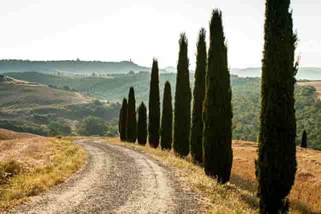 20款a4l时尚动感用车技巧(2020款a4l时尚动感)