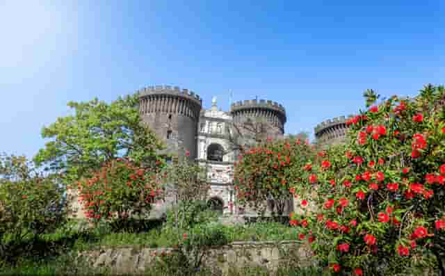 袖虎宠物攻略：猫咪突然过于反应激烈是怎么回事？