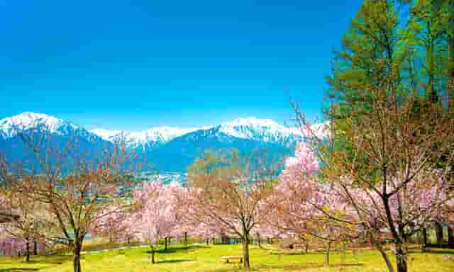 七省支援郑州视频