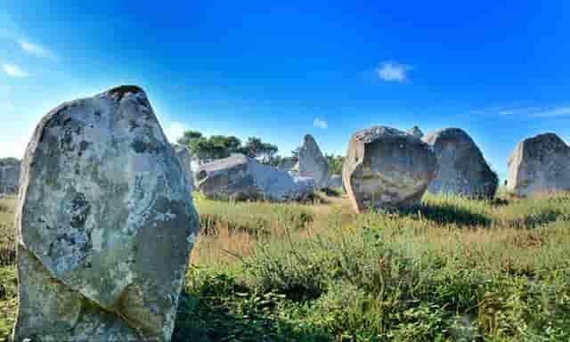 安徽肺炎最新通报情况(安徽新冠肺炎最新情况)