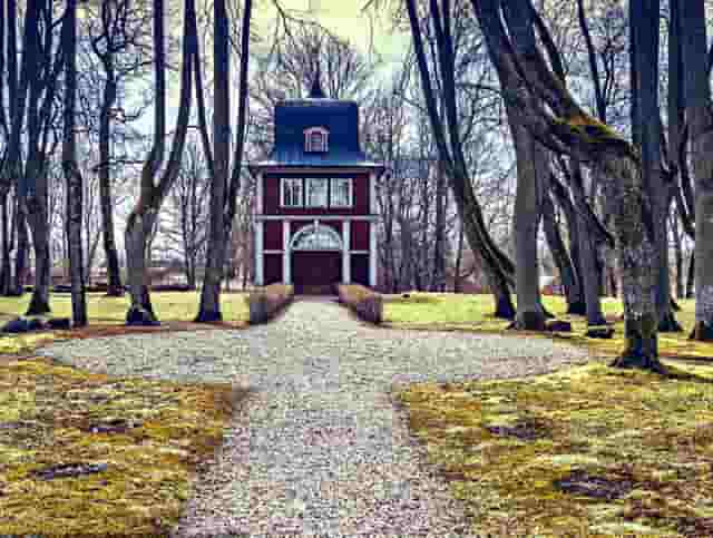 袖虎病猫攻略：猫咪腹泻的处理方法