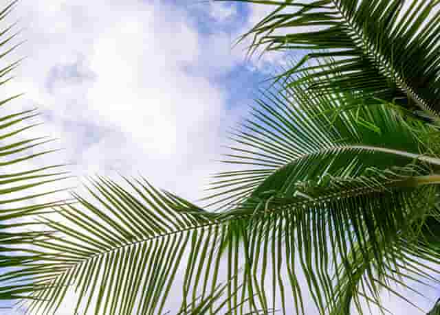 体验海关检疫读后感