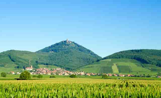 和父母上班好吗(父母上班职业怎么填写)