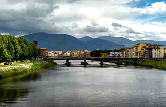 袖虎宠物解谜：猫咪的无精打采掩盖了什么问题？