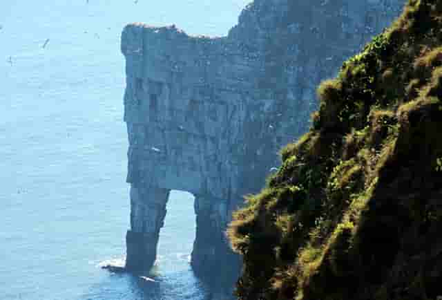 袖虎病猫攻略：关于猫咪眼泪这事你可能不知道