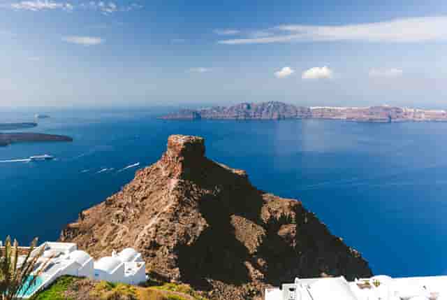 袖虎加盟店：养宠骗局分析1