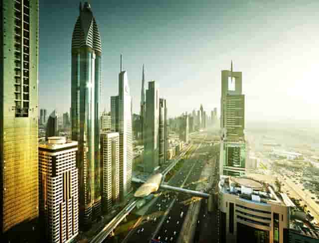 袖虎病猫攻略：猫咪体内寄生虫，养猫的你必须认得