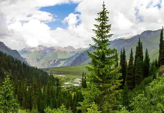 韩系冬季穿搭女(三木冬季穿搭)