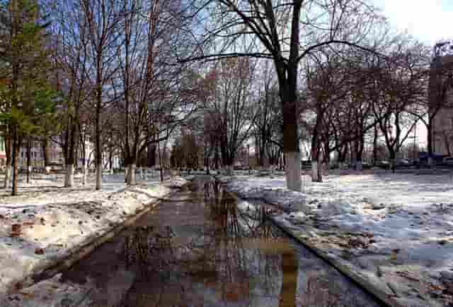 甘肃方言丫头咋说(说丫头的是哪里方言)