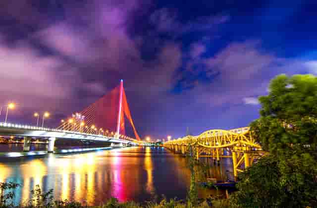 袖虎宠物提醒不要给猫咪喂垃圾食品！这些食物才利于发育！