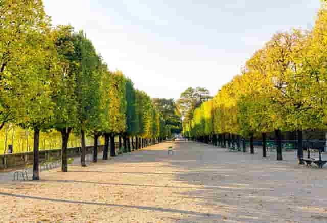 袖虎宠物揭秘骗子宠物商常见招数