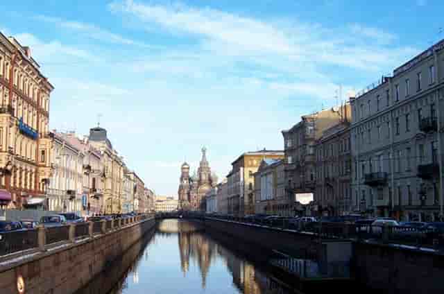 袖虎病猫攻略：猫咪得了角膜炎怎么办