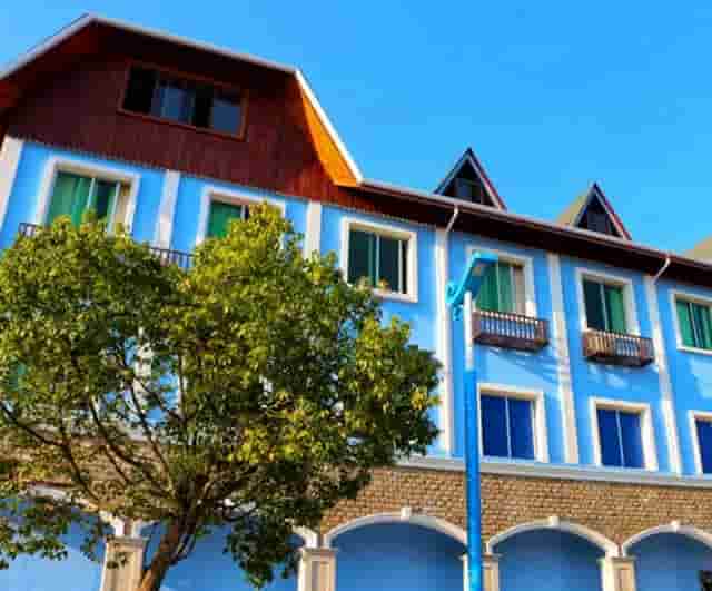 袖虎宠物店揭秘行业骗局：开宠物店有没有暴利？(1)