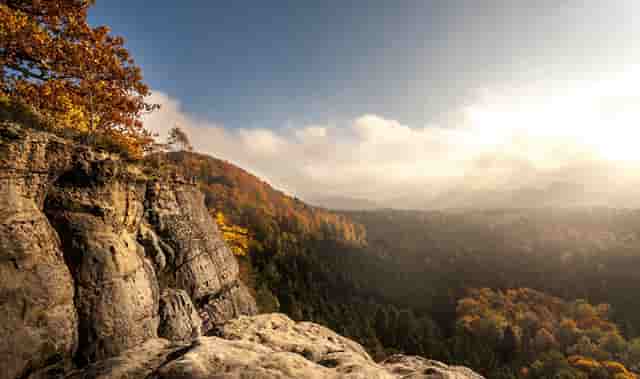 袖虎宠物解答：食品添加剂于猫咪而言都是垃圾吗？