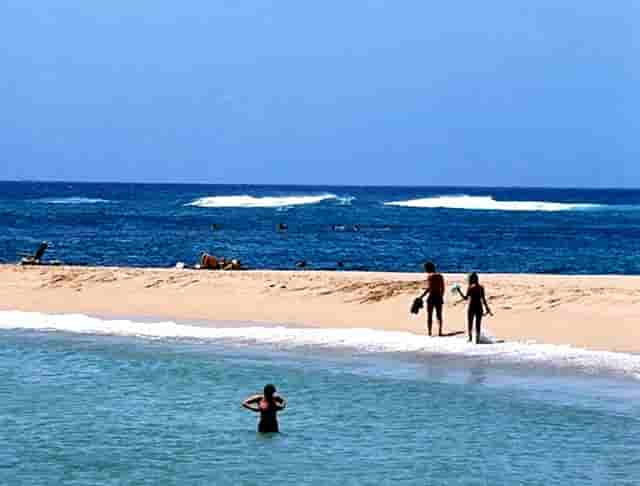 女士衣服搭配技巧时尚(女生衣服搭配学生时尚)