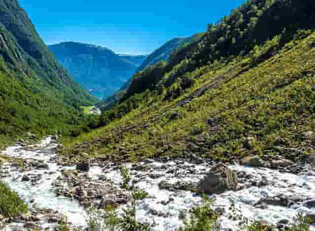 袖虎病猫攻略：泪痕重的就是病猫吗？