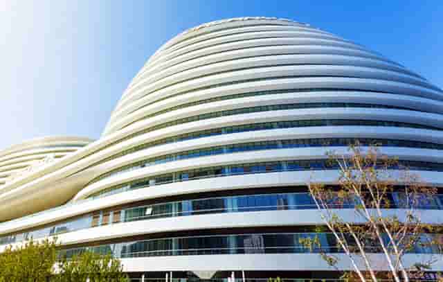 袖虎病狗攻略：狗怎么会瘸？