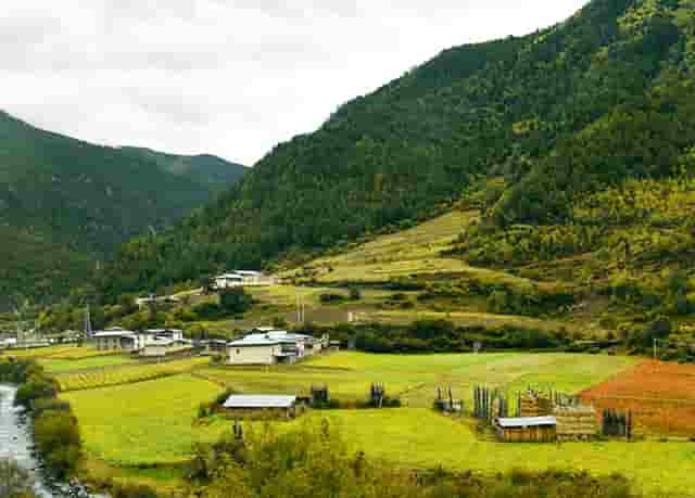 男生时尚打扮技巧(打扮时尚的男生)