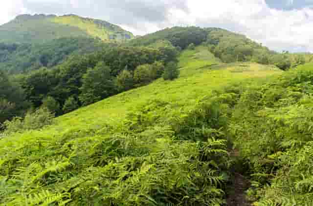 布鲁斯2期户型(布鲁斯小镇户型)