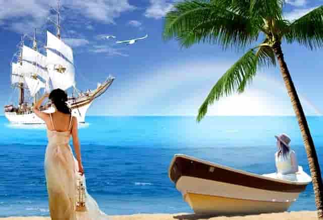 养宠垃圾处理，袖虎的建议在这里！